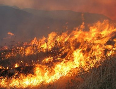 Υπό έλεγχο η πυρκαγιά στην εθνική οδό Πατρών - Πύργου